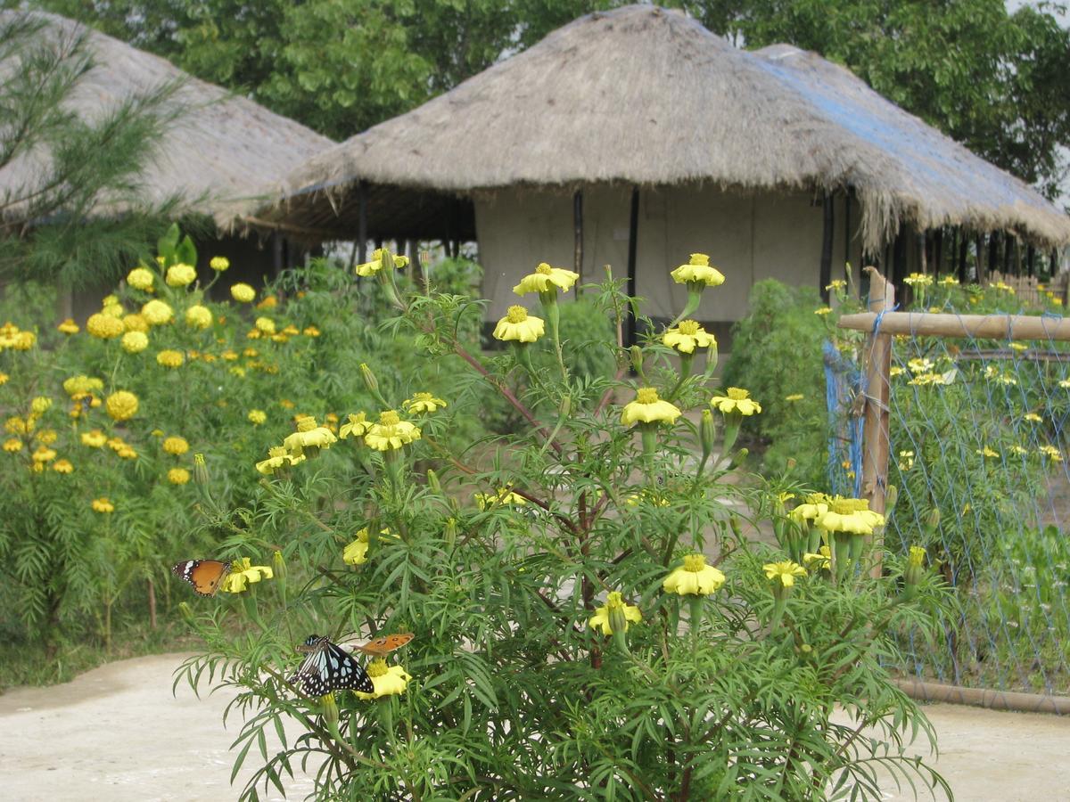 Estuarine Village Resort Satabhaya Bagian luar foto